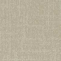 50x50