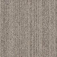 50x50